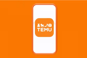 EU Demands Details from Temu on Measures to Curb Illegal Product Sales