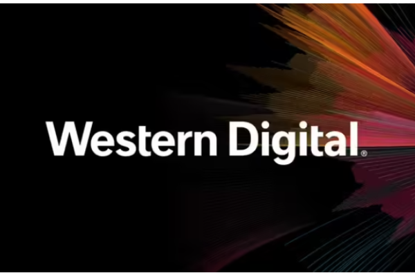 Western Digital Faces $315.7M Penalty for Data Encryption Patent Infringement