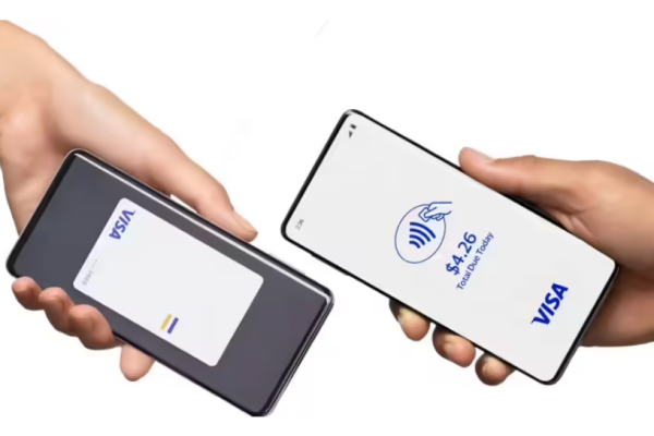 Visa’s Take on Extreme Adult Game Removal: Focusing on Illegal Activity Prevention